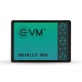 256 GB SSD SATA (EVM25/256GB)