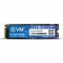 EVM M.2 NVMe PCIe 256GB EVMNV/256G